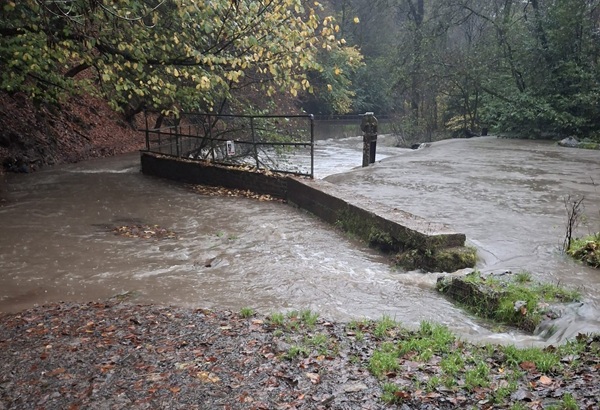 Water flowing from the River Frome onto the Frome Valley Walkway. Picture: Kate Spreadbury