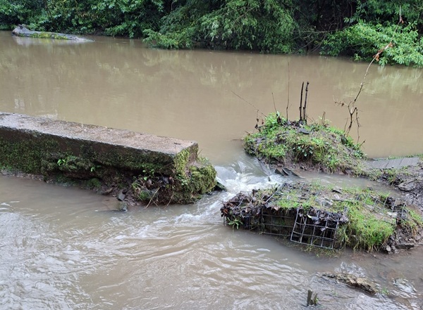 Water flowing from the River Frome onto the Frome Valley Walkway. Picture: Kate Spreadbury