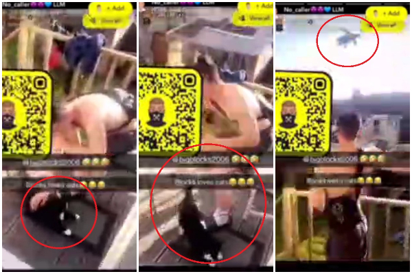 Stills from a video showing Callum Palmer throwing a cat (circled in red) from a balcony